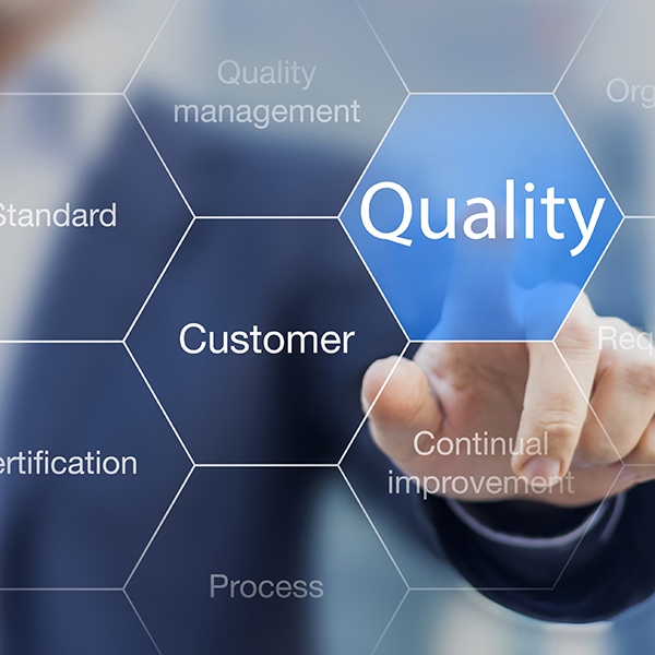 ISO 9001 standard for quality management of organizations with an auditor or manager in background